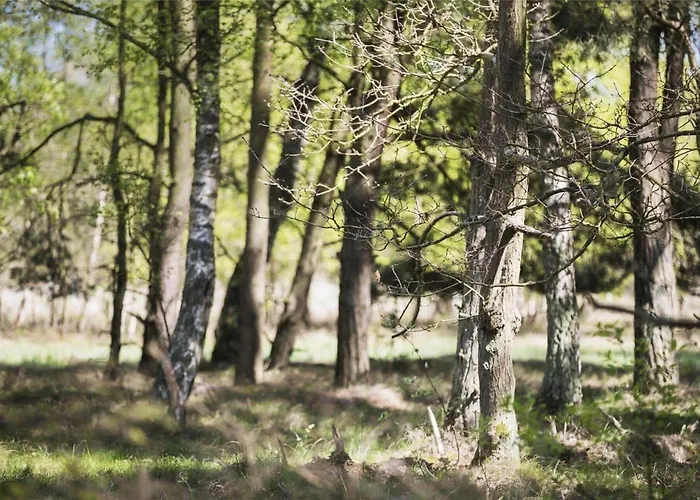 1311-aakirkeby-poserekrogen-30 Сasa de vacaciones Vester Somarken